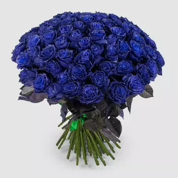 Букет 75 роз Синее озеро
