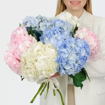 Букет 7 гортензий Цветочные облака