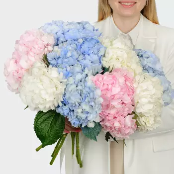 Букет 9 гортензий Цветочные облака
