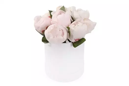 Букет 9 пионов в шляпной коробке