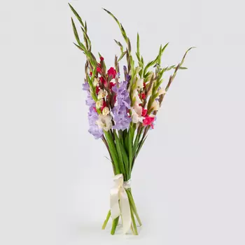 Букет гладиолусов Сезон изобилия