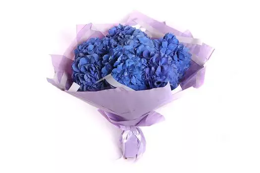 Букет гортензий Небесный синий