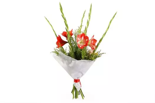 Букет Хвост кометы