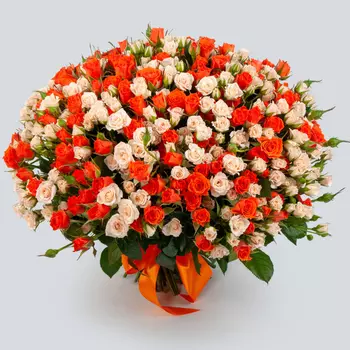 Букет из 101 розы Девочка-солнце