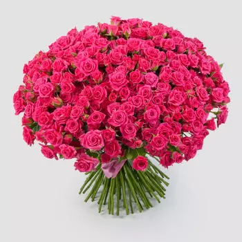 Букет из 101 розы Первая красавица