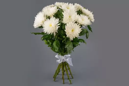 Букет из 11 белых хризантем Сингл
