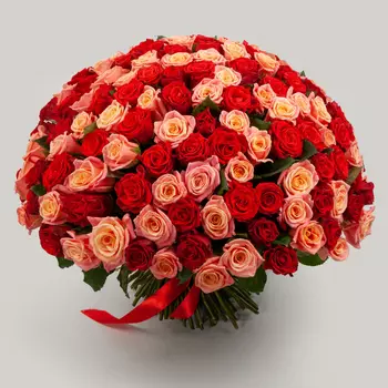 Букет из 151 розы Румянец зари
