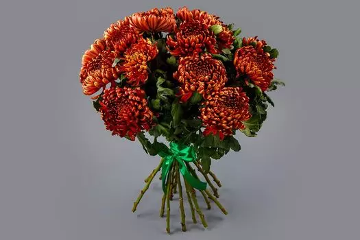 Букет из 15 коричневых хризантем Сингл