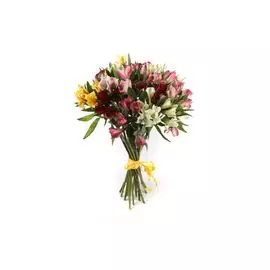 Букет из 21 альстромерии Радужный