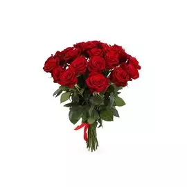 Букет из 25 красных роз Фридом