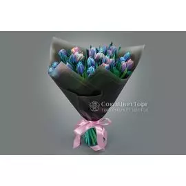 Букет из 25 тюльпанов Галактика