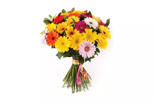 Букет из 31 герберы Раскраска