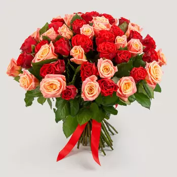 Букет из 51 розы Румянец зари