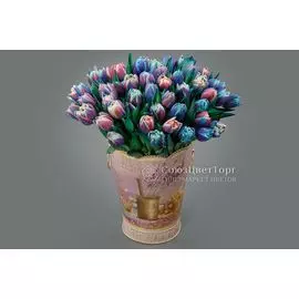 Букет из 51 тюльпана Галактика