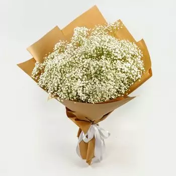 Букет из гипсофилы Белая дымка