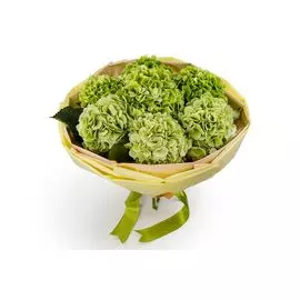 Букет из гортензии Мятный бриз