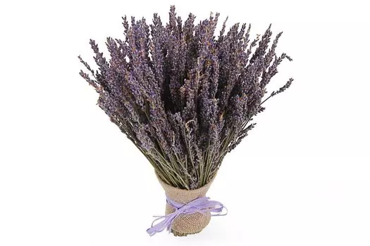 Букет из лаванды Аромат Прованса