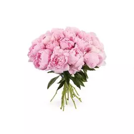 Букет из пионов 25 комплиментов