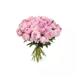 Букет из пионов 31 комплимент