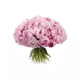 Букет из пионов 51 комплимент