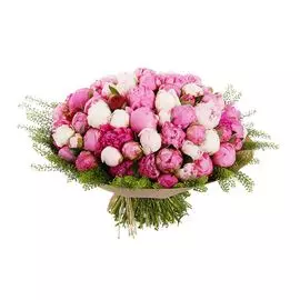 Букет из пионов Сенсация