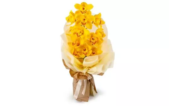 Букет из желтой орхидеи Тропиканка