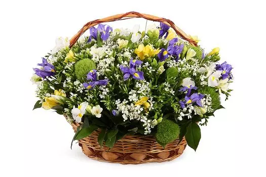 Букет Пока не наступит ночь