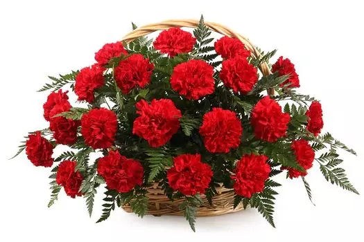 Букет с гвоздиками Импрессия в корзине