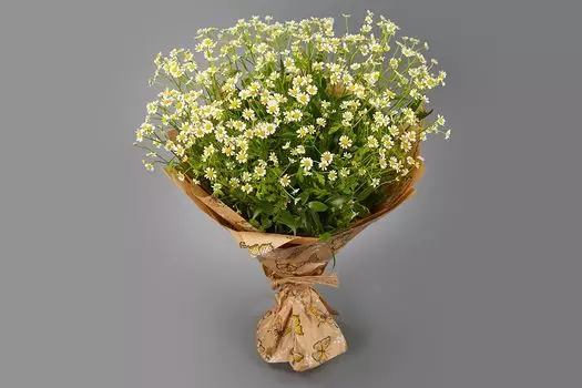 Букет с ромашками Дыхание полей