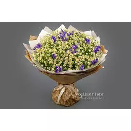 Букет с ромашками Королева полей