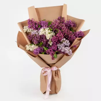 Букет Сирень в цвету (классик)