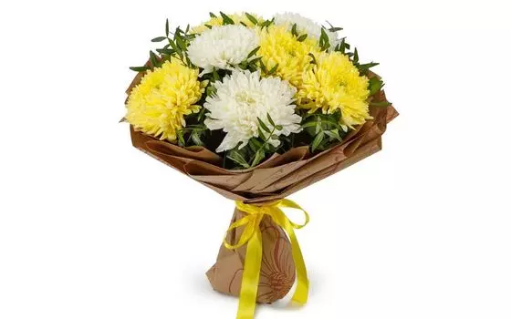 Букет Утренняя прохлада (7 хризантем микс)