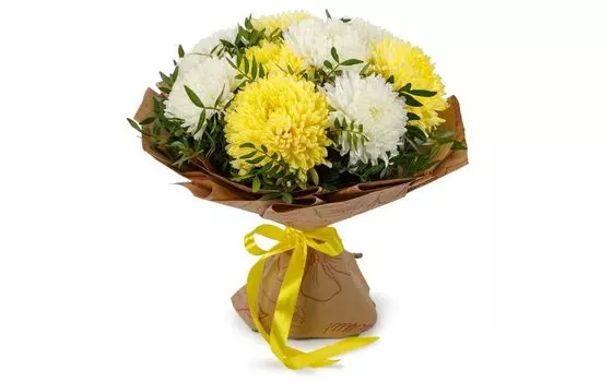 Букет Утренняя прохлада (9 хризантем микс)