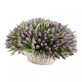 Букет Великая иллюзия в корзине