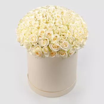 Букет в белой коробке Первая нежность (101 роза)