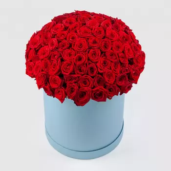 Букет в голубой коробке Алые краски (101 роза)