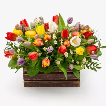 Букет в кашпо Радужные чувства