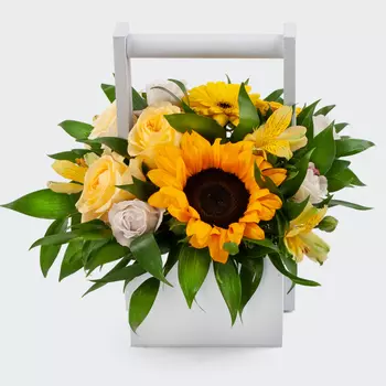 Букет в кашпо Солнце на ладони