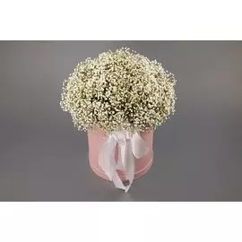 Букет в коробке Добрые сны