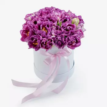 Букет в коробке Лиловые сумерки (25 тюльпанов)