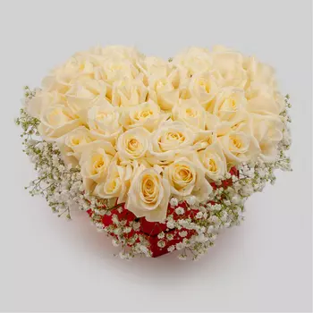 Букет в коробке Сливочное облачко (39 роз)