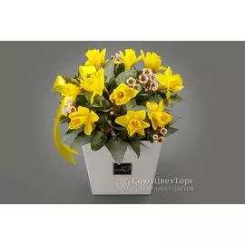 Букет в коробке Снова семнадцать