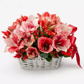 Букет в корзине Алое сияние