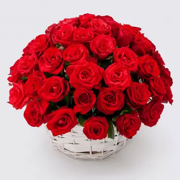 Букет в корзине Румба (51 роза)