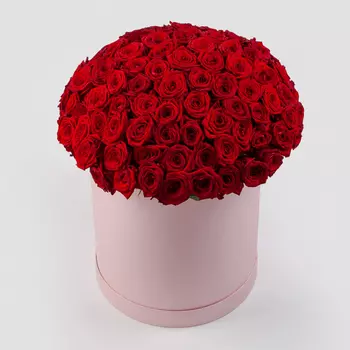 Букет в розовой коробке Алые краски (101 роза)