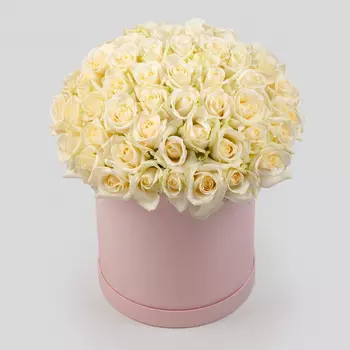 Букет в розовой коробке Первая нежность (51 роза)