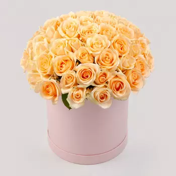 Букет в розовой коробке Утренняя соната (51 роза)