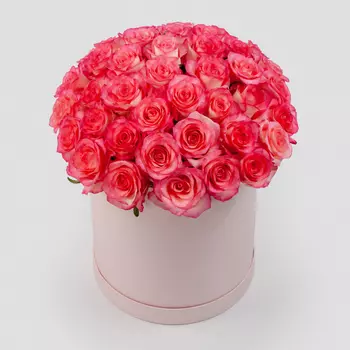 Букет в розовой коробке Женское счастье (51 роза)