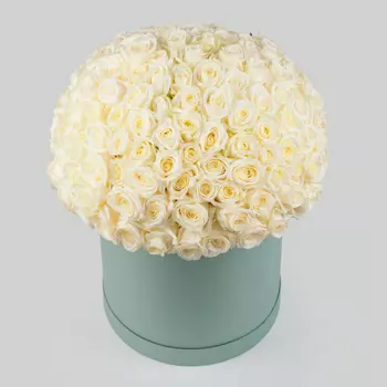 Букет в зеленой коробке Нежное сердце (151 роза)