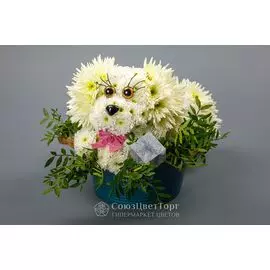 Игрушка из цветов Белый Бим